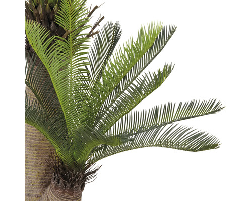 Close-up van een kunstmatige cycas met groene bladeren.