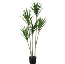 Kunstmatige drakenboom plant in pot