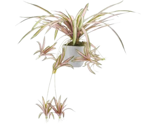 Kunstplant Chlorophytum in pot paars H 90 cm Kamerplant in pot met gestreepte bladeren