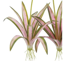 Kunstmatige waterplant met bladeren