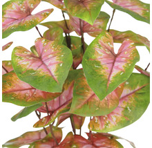 Kunstmatige Caladium plant met bladeren