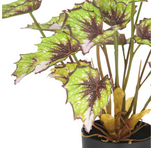 Kunstbegonia in een pot