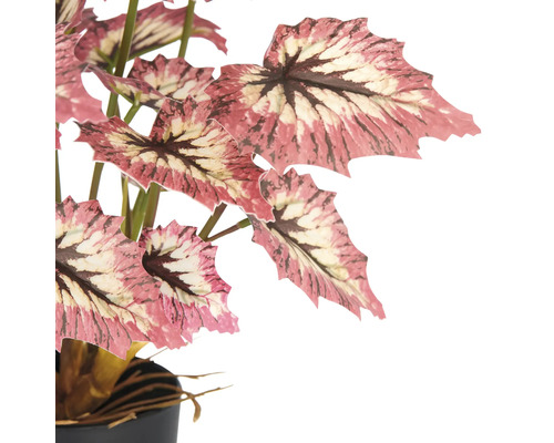 Kunstmatige begonia in pot ter decoratie