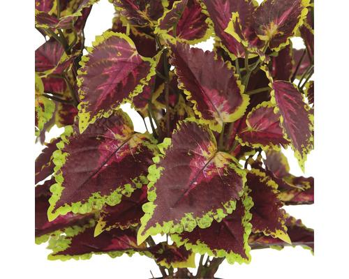 Kunst siernetel met decoratieve bladeren