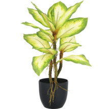 Kunstmatige Dieffenbachia in een zwarte pot