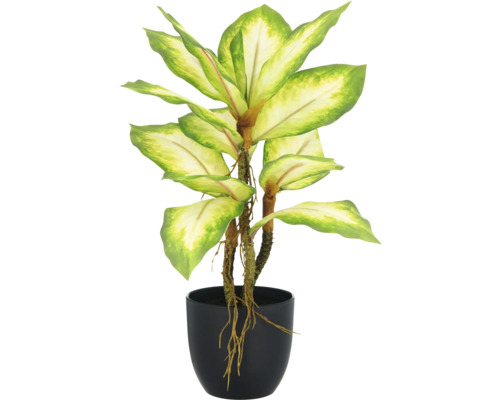 Kunstmatige Dieffenbachia in een zwarte pot