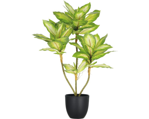 Kunstplant Dieffenbachia in pot H 65 cm Kunstplant in pot