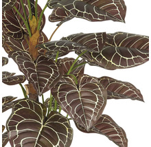 Kunstmatige anthurium met gemusterde bladeren