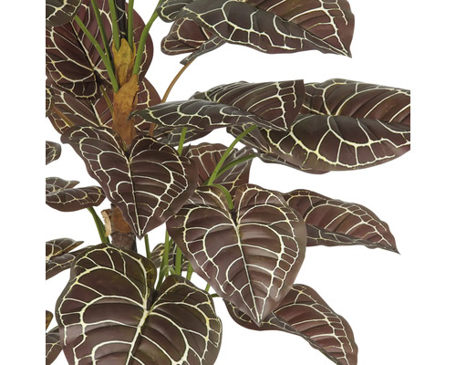 Kunstmatige anthurium met gemusterde bladeren