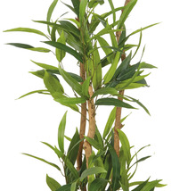 Kunstmatige eucalyptusboom met groene bladeren en bruine stammen