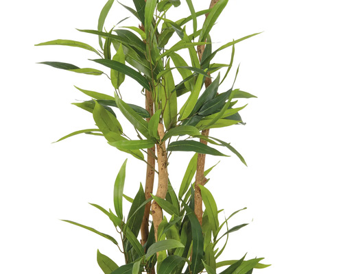 Kunstmatige eucalyptusboom met groene bladeren en bruine stammen