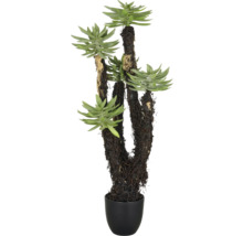 Kunstmatige vetplant in pot als kamerplant