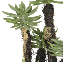 Kunstmatige vetplant met gedetailleerde bladeren en een natuurgetrouwe uitstraling