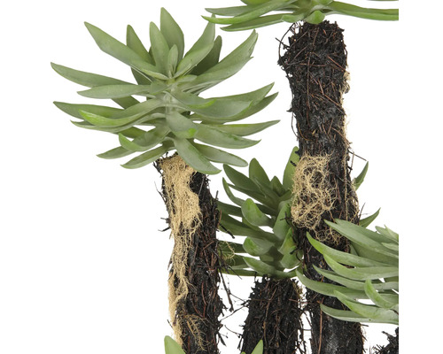 Kunstmatige vetplant met gedetailleerde bladeren en een natuurgetrouwe uitstraling