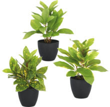 Drie kunstplanten in zwarte potten