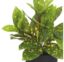 Kunst Croton plant met gevlekte bladeren in pot