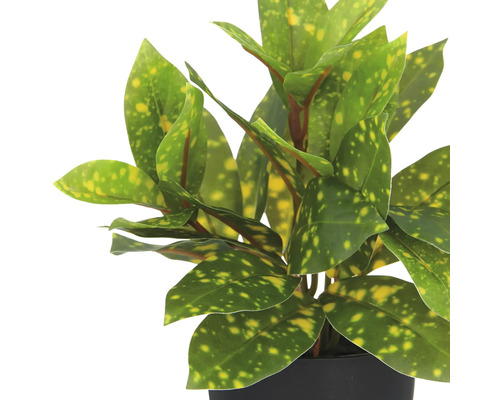 Kunst Croton plant met gevlekte bladeren in pot