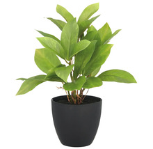 Kunstplant in een zwarte pot