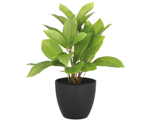 Kunstplant in een zwarte pot