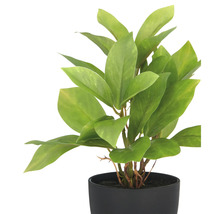 Kunstmatige kamerplant in zwarte pot