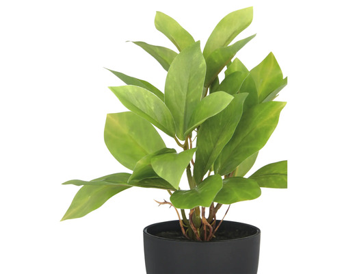 Kunstmatige kamerplant in zwarte pot