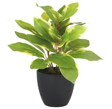 Kunstplant met groen-gele bladeren in een zwarte pot