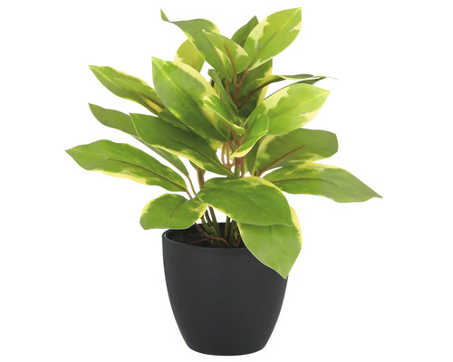 Kunstplant met groen-gele bladeren in een zwarte pot