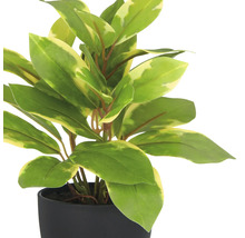 Kunstplant in zwarte pot met groene bladeren