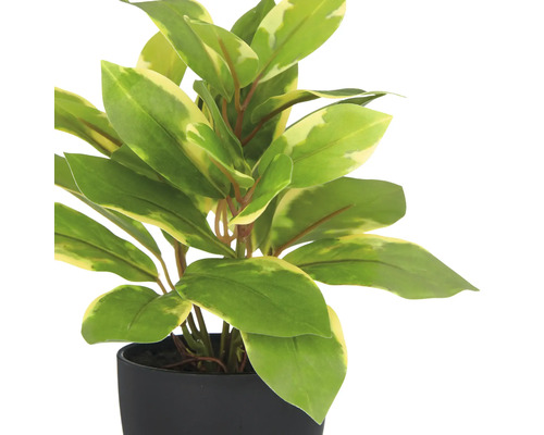 Kunstplant in zwarte pot met groene bladeren