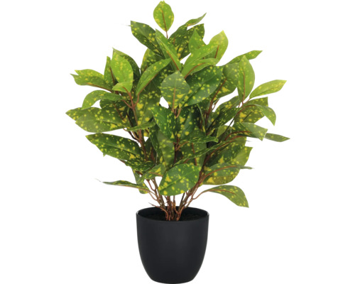 Kunstplant Acuba in pot groen H 40 cm Kunstmatige krotonplant in pot