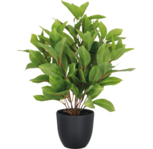 Kunstplant met groene bladeren in zwarte pot