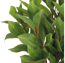 Close-up van kunstmatige laurierbladeren.