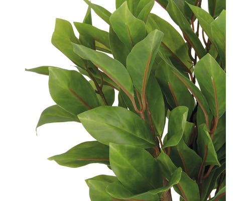 Close-up van kunstmatige laurierbladeren.