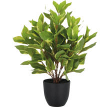 Kunstplant met groene bladeren in een zwarte pot