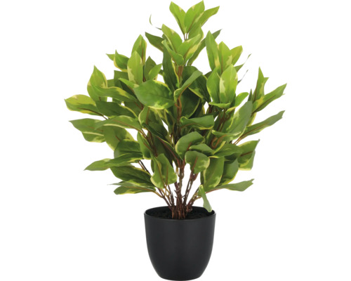 Kunstplant Eprpremnum Aureum in pot H 40 cm Kunstplant met groene bladeren in een zwarte pot