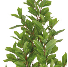 Kunstmatige laurierplant met groene bladeren