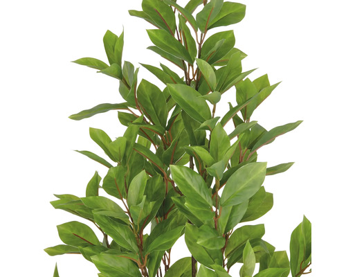 Kunstmatige laurierplant met groene bladeren