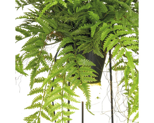 Kunstvaren in een hangpot.