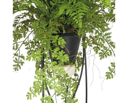 Kunstplant met varen in hangconstructie