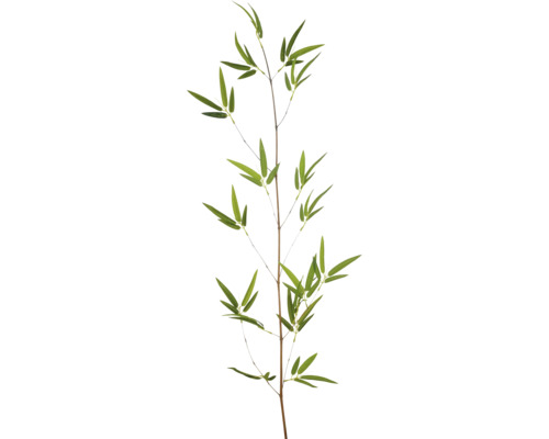 Bamboetak met groene bladeren
