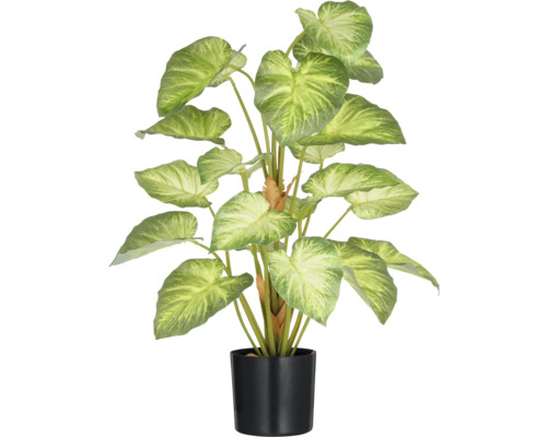 Kunstplant Syngonium in pot H 65 cm Kunst kamerplant met groene bladeren in pot