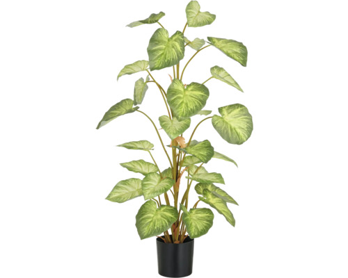 Kunstplant Syngonium in pot H 90 cm Kunstplant met hartvormige bladeren in pot