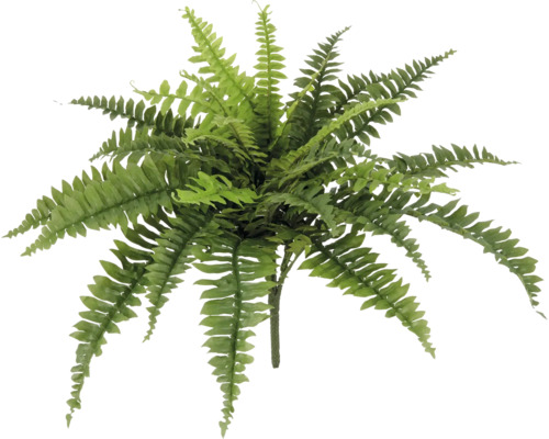 Kunstplant Nephrolepsis Exaltata H 50 cm Kunstmatige varen voor decoratie