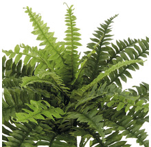 Kunstmatige varen voor interieurdecoratie