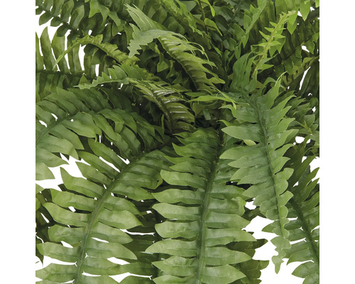 Close-up van een kunstmatige varen