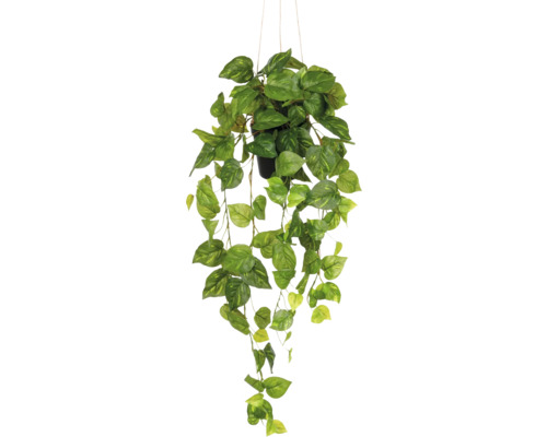Kunstplant Philodendron Hederaceum H 75 cm Hangende kunstplant met pot en groene bladeren