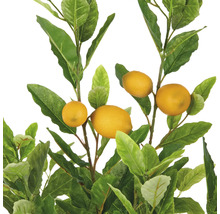 Citroenboom met gele vruchten en groene bladeren