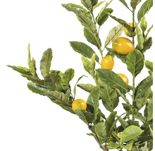 Kunstmatige citroentak met bladeren