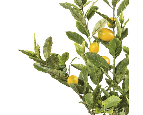 Kunstmatige citroentak met bladeren