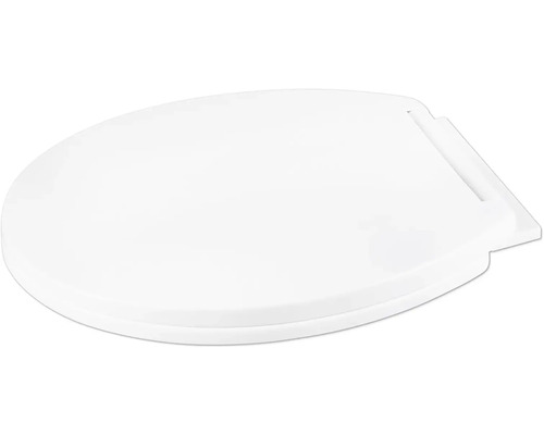 Toiletdeksel van kunststof